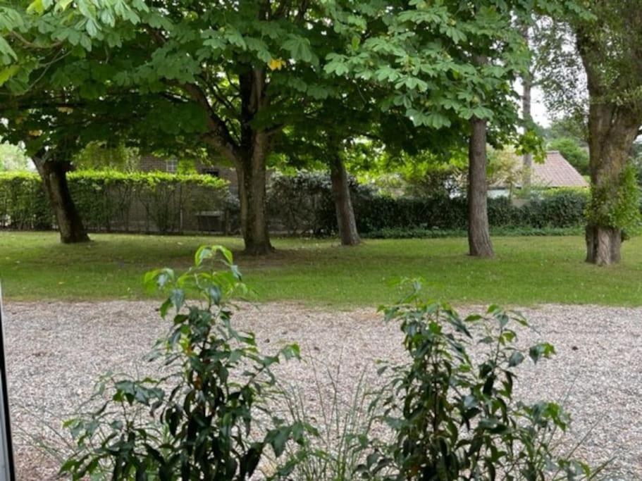 Maison Touquet Pour 4 Personnes Le Touquet Buitenkant foto